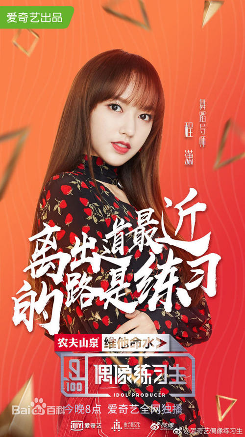 购买假的个人税完税证明